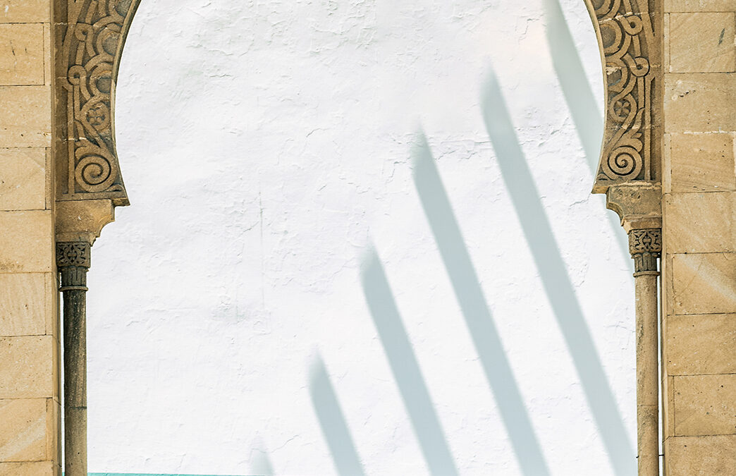 EXPOSICIÓN DE ÁFRICA MÁRQUEZ