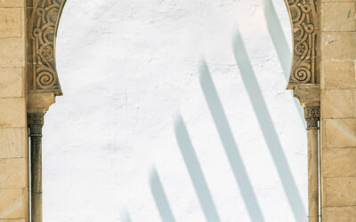 EXPOSICIÓN DE ÁFRICA MÁRQUEZ