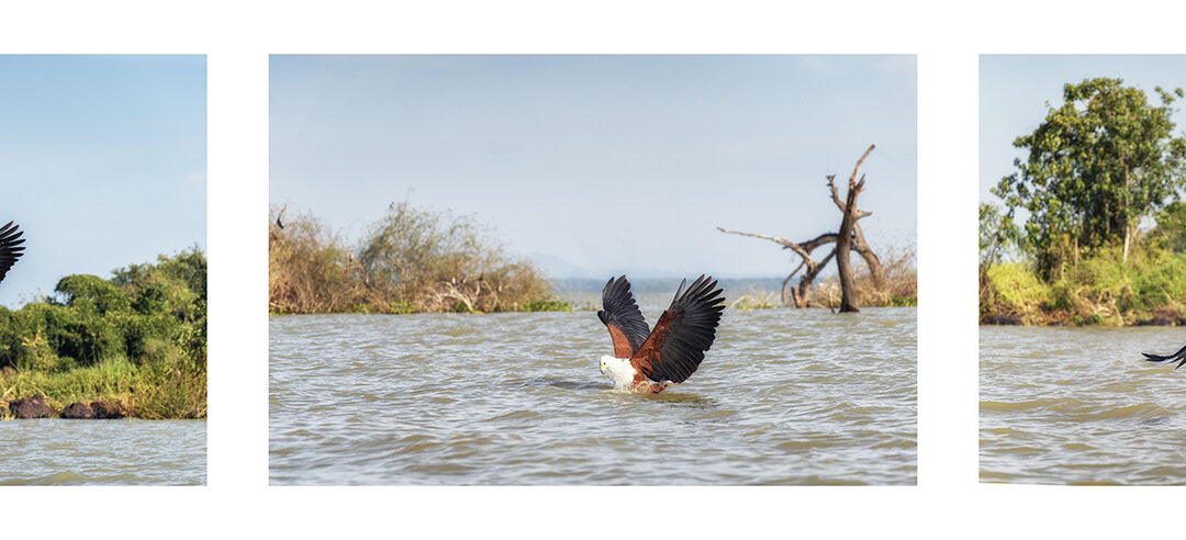 MENSUAL MES DE ENERO DE 2026