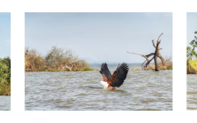 MENSUAL MES DE ENERO DE 2026